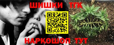 амф Рыбинск