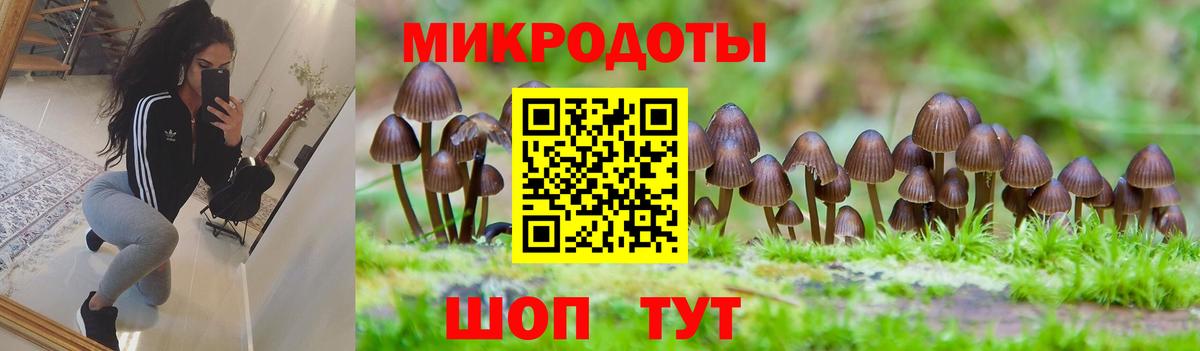 Галлюциногенные грибы Psilocybe Урус-Мартан