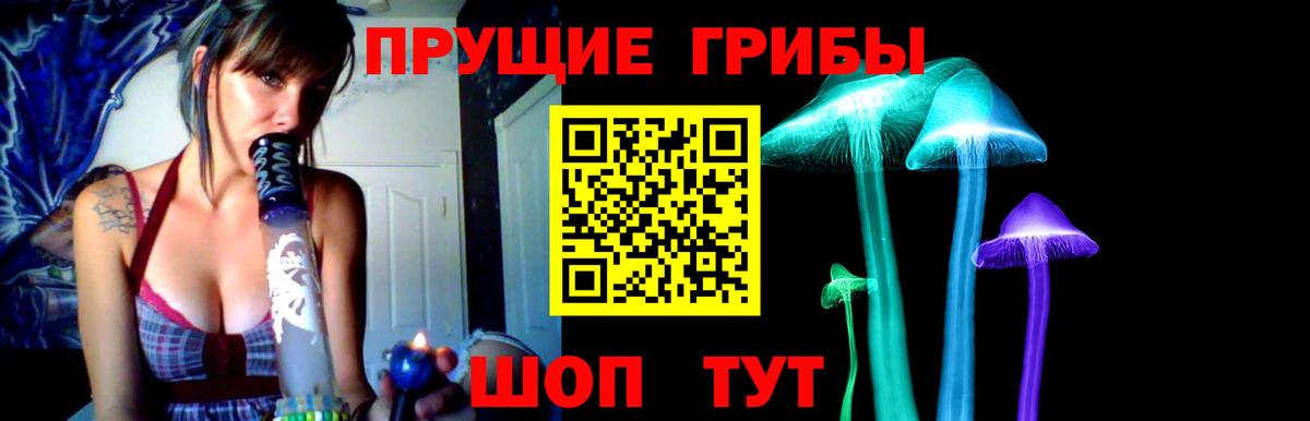 Урус-Мартан  Галлюциногенные грибы ЛСД  Вход с VPN 